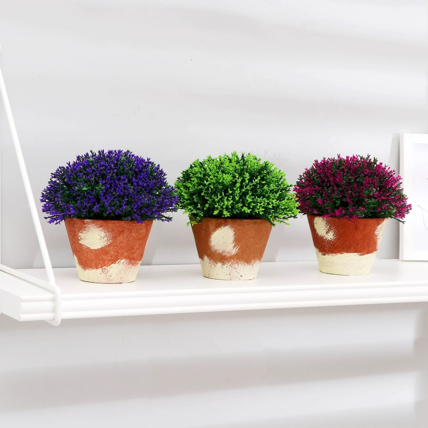 Бонсай в горшке "Самшит" 12х12 см, микс   5201996