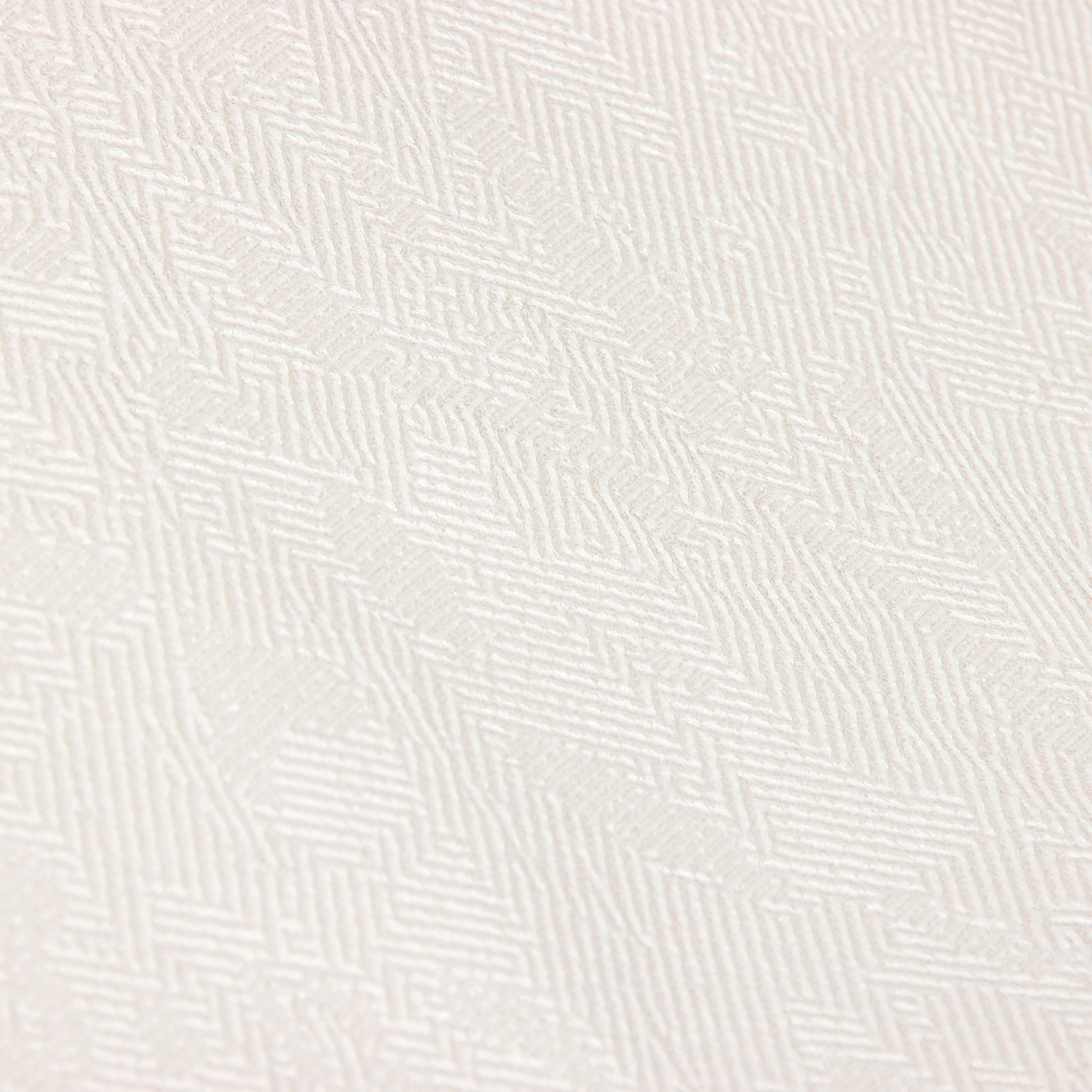 Обои флиз "HomeColor"   PROTECT-CASA фон (беж.) HC31236-21a 1,06*10м *1/8