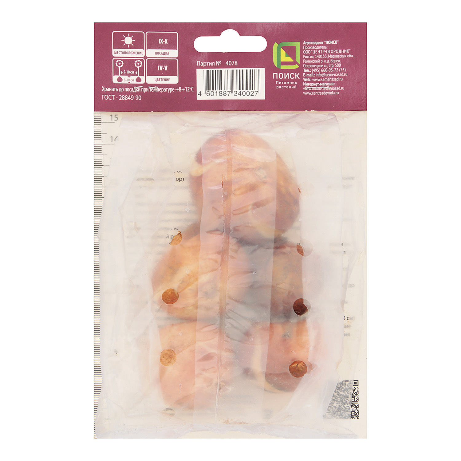 Тюльпан Триумф Вашингтон 12+/5шт