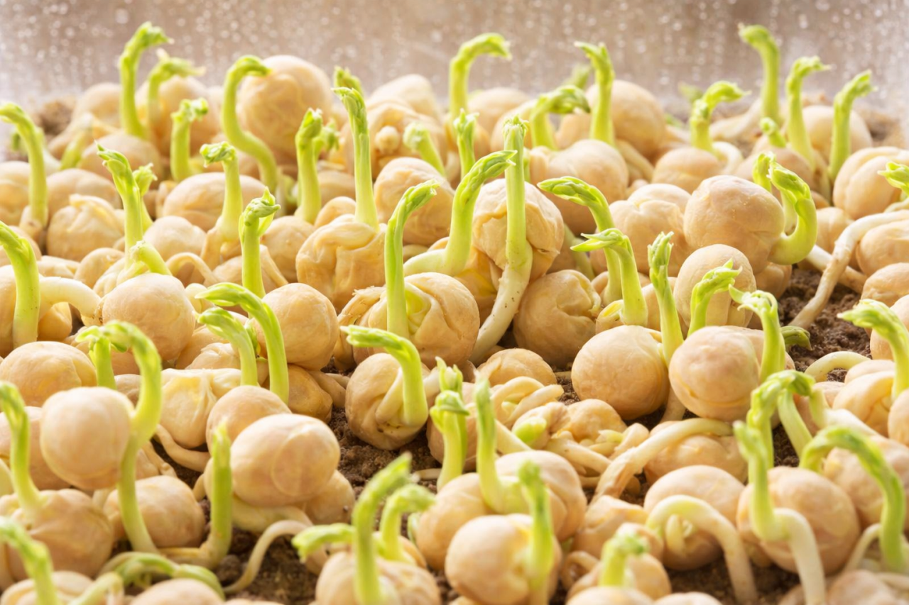 20260120_0954_Image_Generation_remix_01kfcw0f3vf14b98c3a4qdxwf1.png 20260120_0954_Image_Generation_remix_01kfcw0f3vf14b98c3a4qdxwf1.png