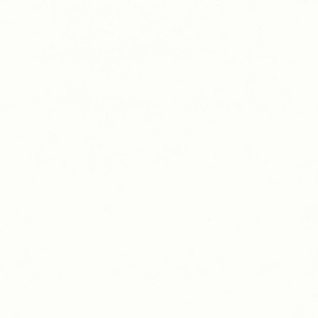 яяяОбои флиз "HomeColor"  HC71974-11 1,06*10м *1/8