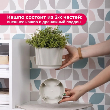 Кашпо пластм. "Стрип" 1,3л d верха 140мм h125мм с поддоном Кремовый М3246 ("М-Пластика") *1/12 Кашпо пластм. "Стрип" 1,3л d верха 140мм h125мм с поддоном Кремовый М3246 ("М-Пластика") *1/12