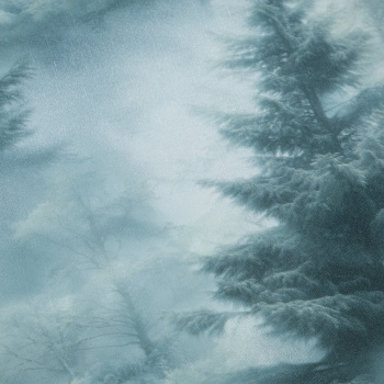 Обои флиз "Home Color" Ultrachrome 3 (зел.) HC72551-67 1,06*10м*1/8