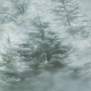 Обои флиз "Home Color" Ultrachrome 3 (зел./сер.) HC72551-71 1,06*10м*1/8