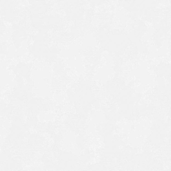 Обои флиз. "Эрисманн" Silk 60731-02 10х1.06м *9