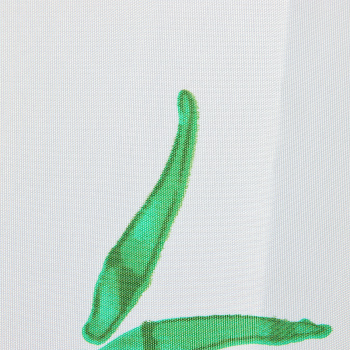 Штора для ванной V-line Тростник, 180х180 см, полиэстер, с кольцами