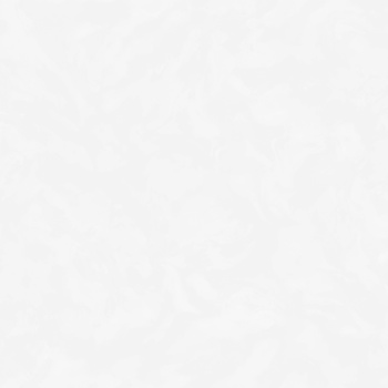 Обои флиз "Антураж" Veresk фон (бел.) AN9096-11 10*1,06м *6